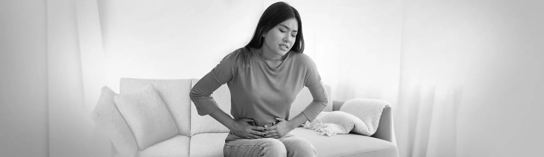 Menopause and Your Microbiome: Why Gut Health Matters More Than Ever