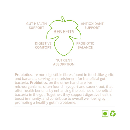 clean-gut-benefits